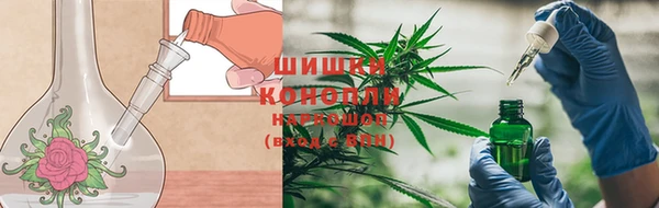 тгк Козловка