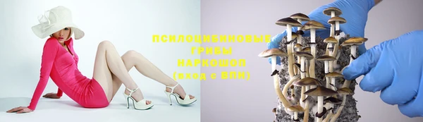тгк Козловка