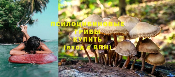 альфа пвп Козельск